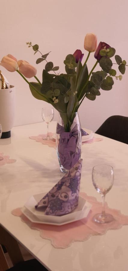 Apartman Galija 1 زادار المظهر الخارجي الصورة